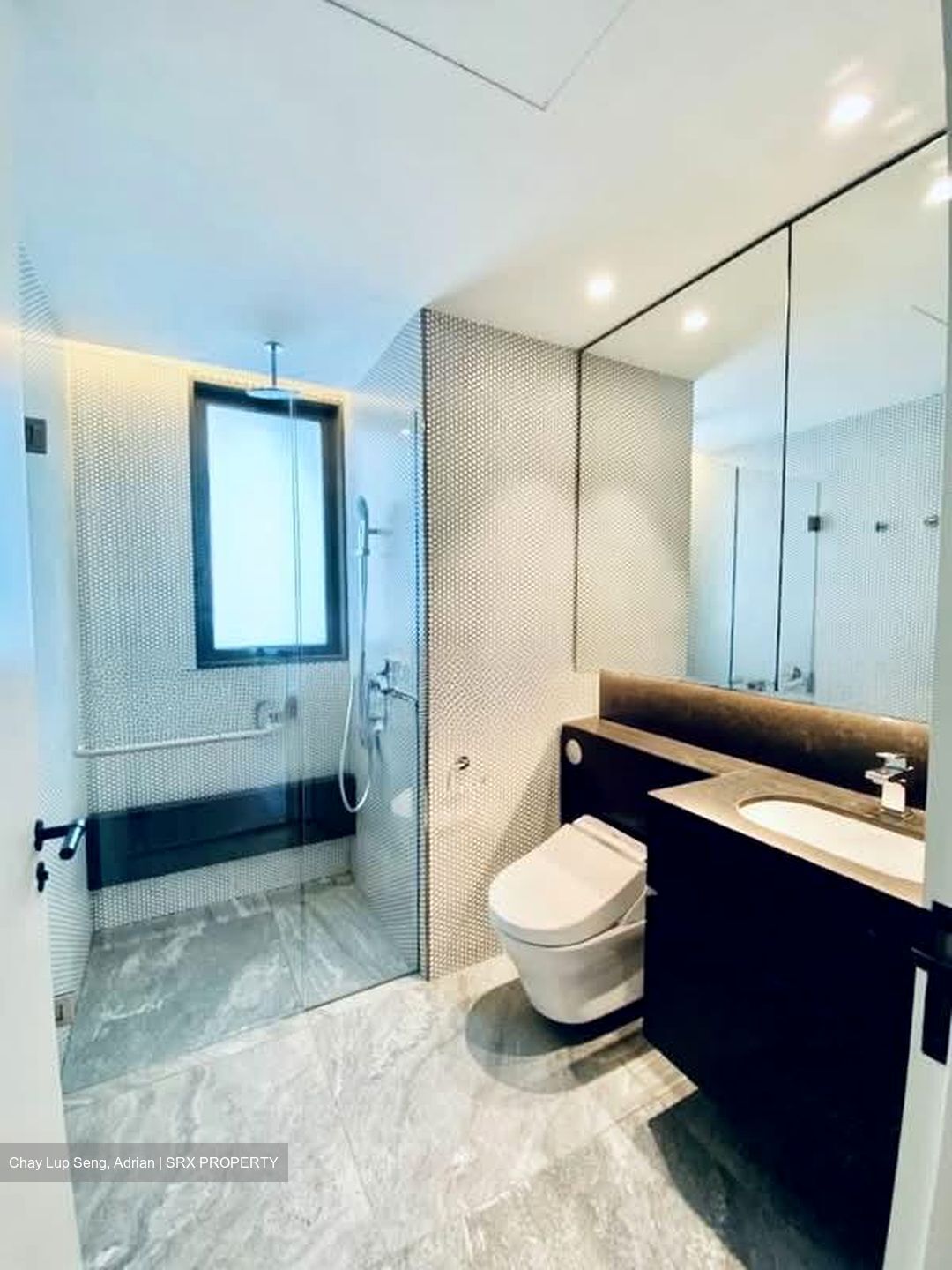 10 Evelyn (D11), Apartment #538010001